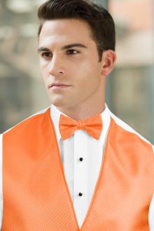 Synergy Brite Orange Bow Tie