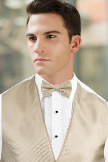 Synergy Champagne Bow Tie