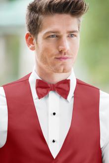 Expressions Cherry Bow Tie