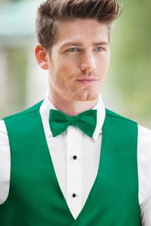 Expressions Emerald Bow Tie