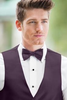 Expressions Plum Bow Tie
