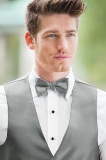 Expressions Silver Bow Tie