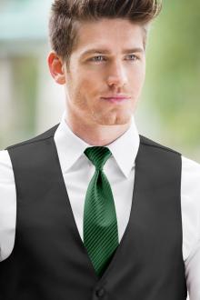 Striped Expressions Forest Windsor Tie