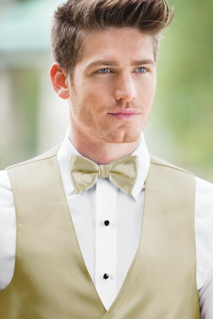 Expressions Champagne Bow Tie