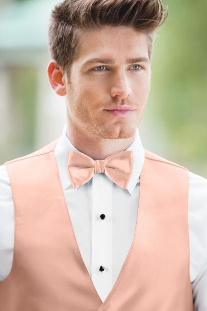 Expressions Bellini Bow Tie