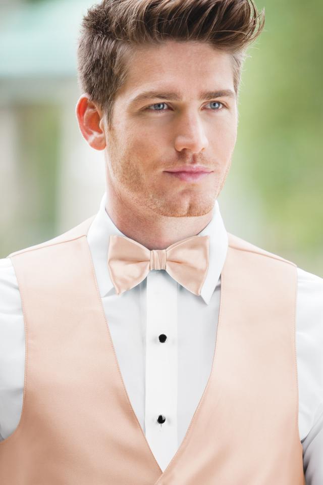 Expressions Blush Bow Tie